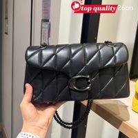 Tabby-26cm-5