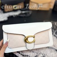 C-46 tabby 26cm