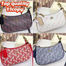bags 12A1:1copy teri shoulder bag designer bag crossbody bag handbag luxury bag wallet purse purses bags for women luxury wallet designer women bag top quality bag